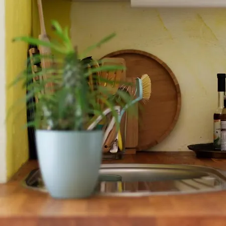 아파트 Souterrainwohnung Mit Grossem Garten Und Sauna *