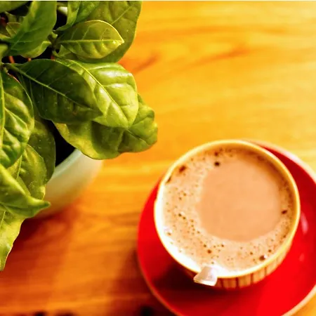 Souterrainwohnung Mit Grossem Garten Und Sauna Apartamento *