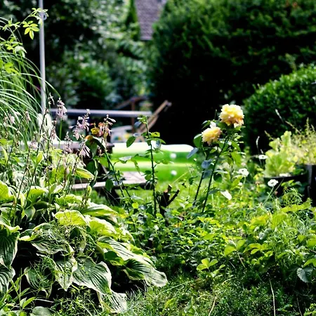Souterrainwohnung Mit Grossem Garten Und Sauna