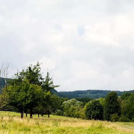 Souterrainwohnung Mit Grossem Garten Und Sauna 아파트 카셀