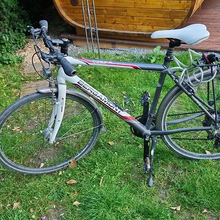 Souterrainwohnung Mit Grossem Garten Und Sauna 아파트