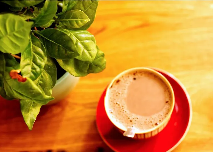 Souterrainwohnung Mit Grossem Garten Und Sauna Appartamento *