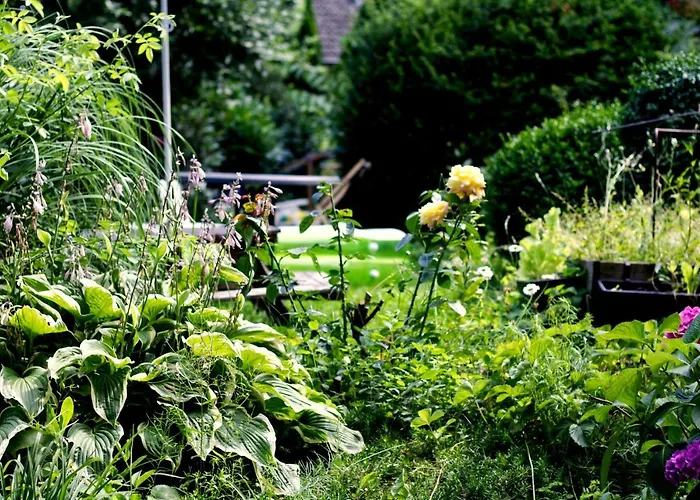 Souterrainwohnung Mit Grossem Garten Und Sauna