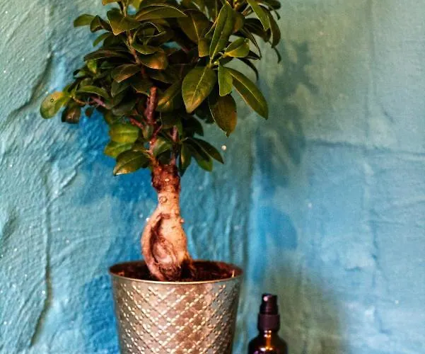 Souterrainwohnung Mit Grossem Garten Und Sauna Apartmán Kassel